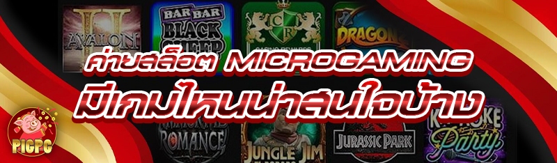 ค่ายสล็อต Microgaming