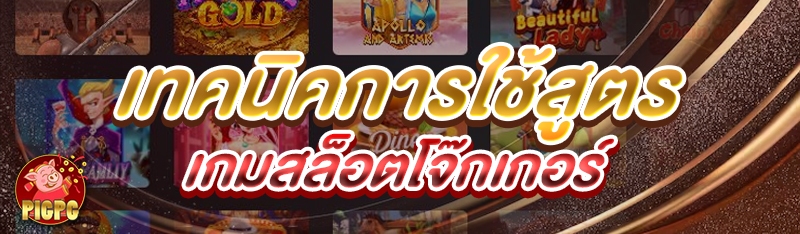 เทคนิคการใช้สูตร